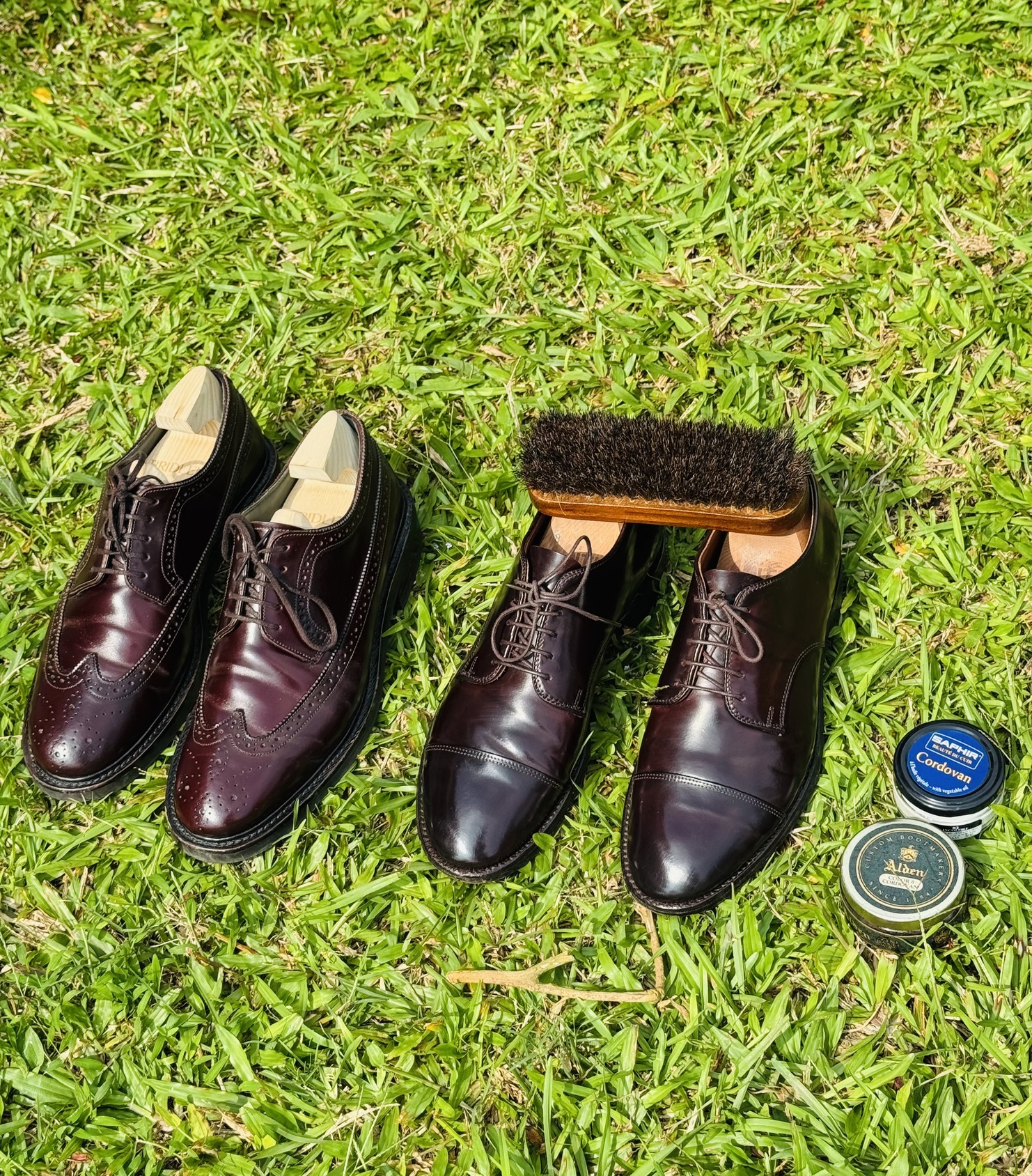 Alden Shell Cordovan on Copley last