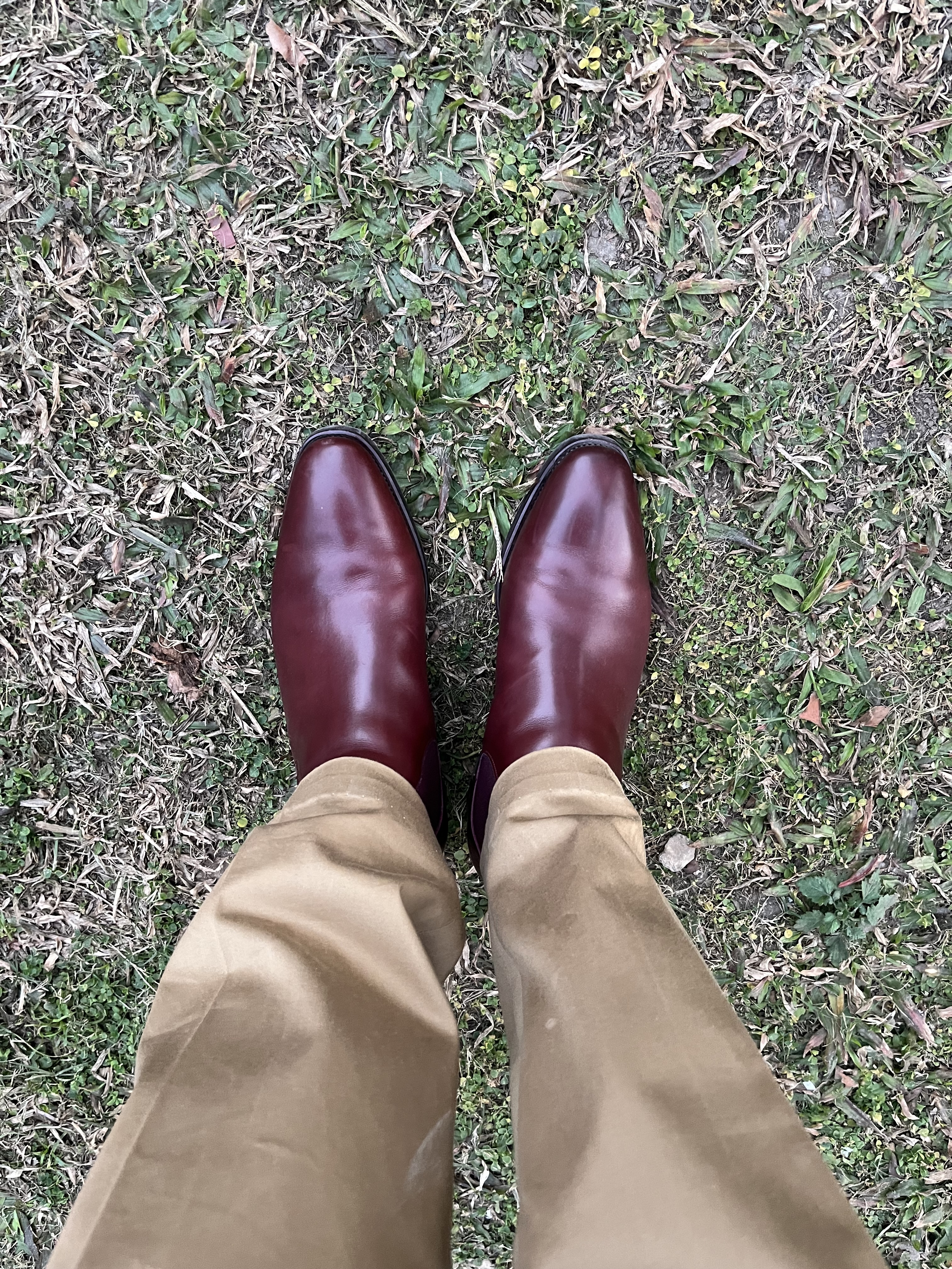 Carmina Chelsea boot on Rain last